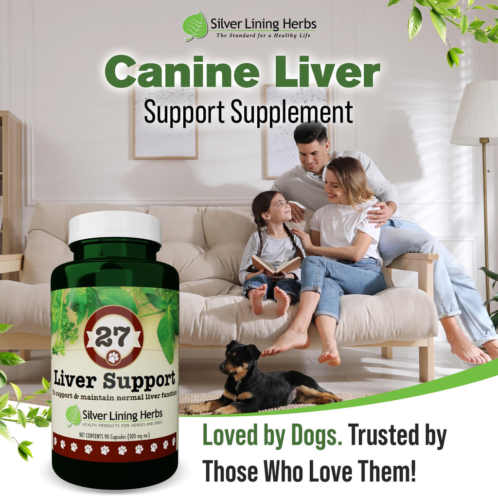 Silver Lining Herbs Dog Liver Support Supplement with Milk Thistle - 90 Capsules - image 6