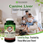 Silver Lining Herbs Dog Liver Support Supplement with Milk Thistle - 90 Capsules - image 6