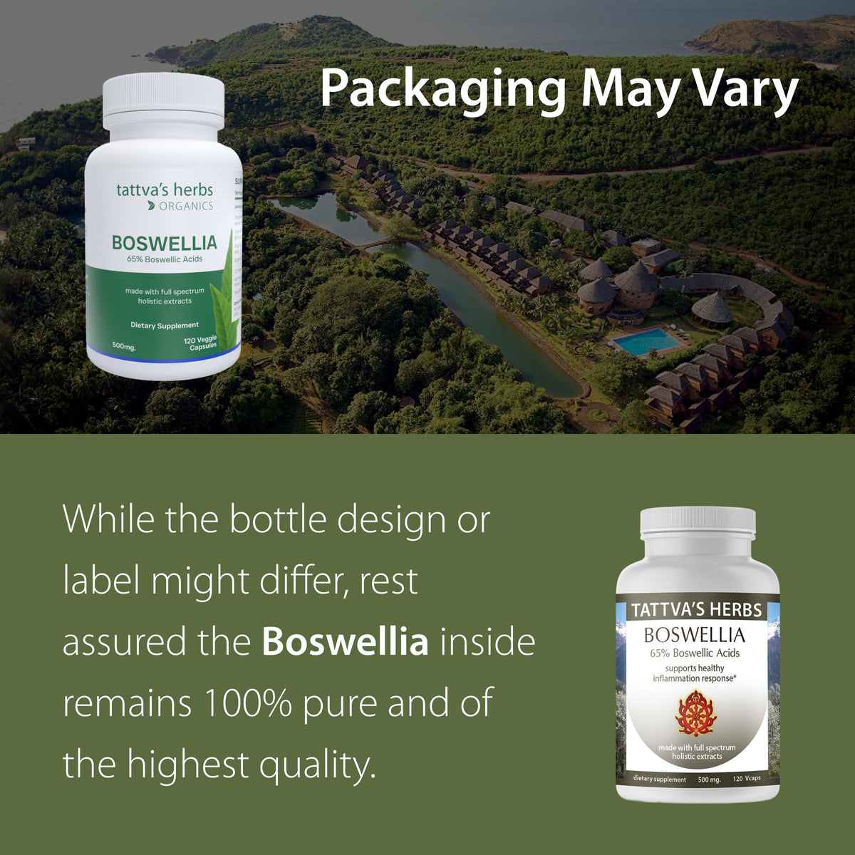 Tattva's Herbs Boswellia Serrata CO2 Extract - 240 Vegetarian Capsules - image 2