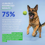 Coco and Luna Liver Supplement for Dogs with Milk Thistle - 90 Soft Chews - image 4