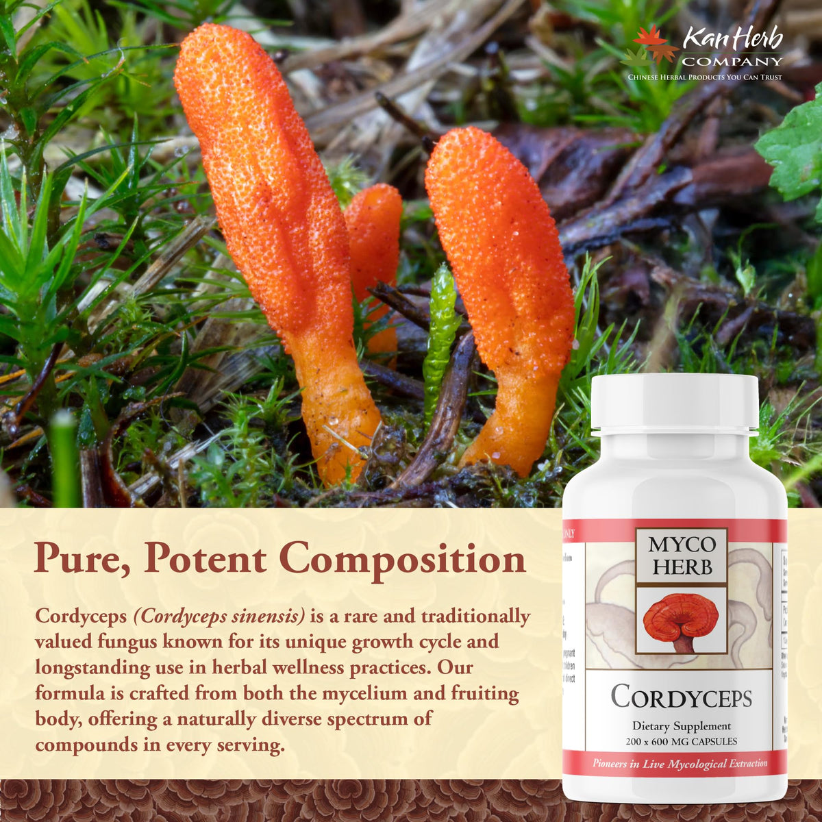 Kan Herbs Cordyceps Full-Spectrum Extract for Energy - 120 Tablets - image 4