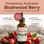 Aussie Pure Blushwood Berry Extract EBC-46 Tincture - 120mL - image 3