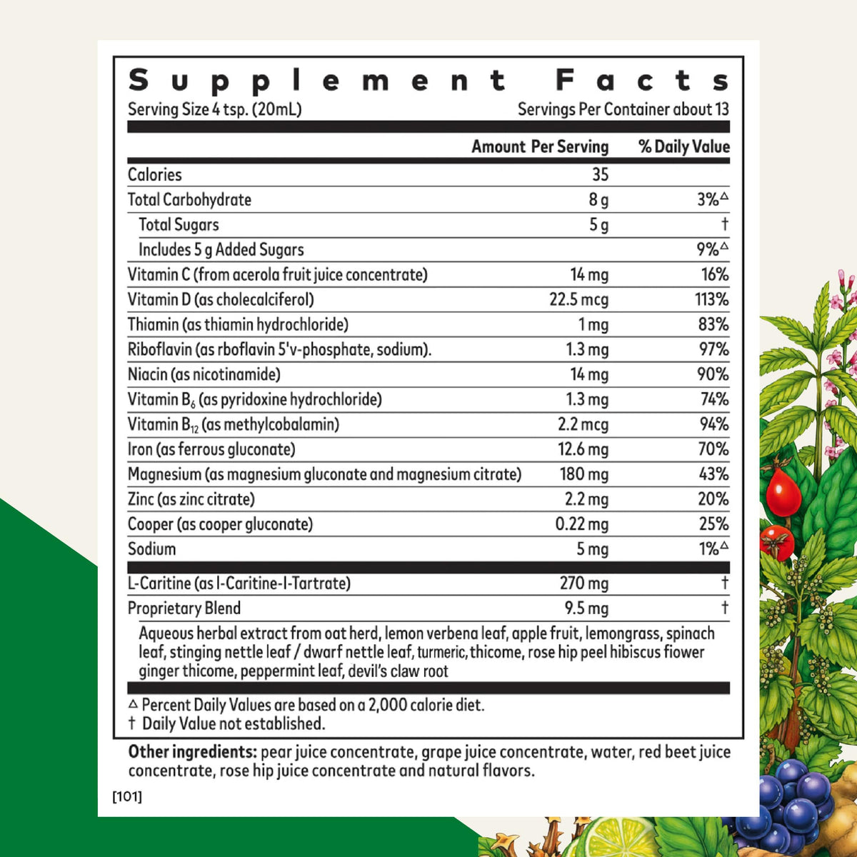 Floradix Iron Sport Liquid Mineral & Vitamin Formula - 8.5 fl oz - image 2