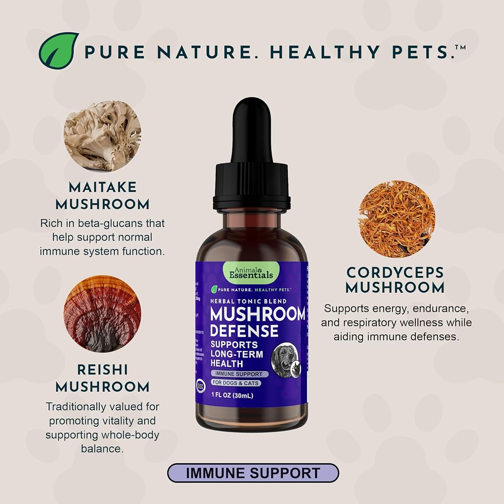 Animal Essentials Mushroom Defense Supplement - Certified Organic - image 5