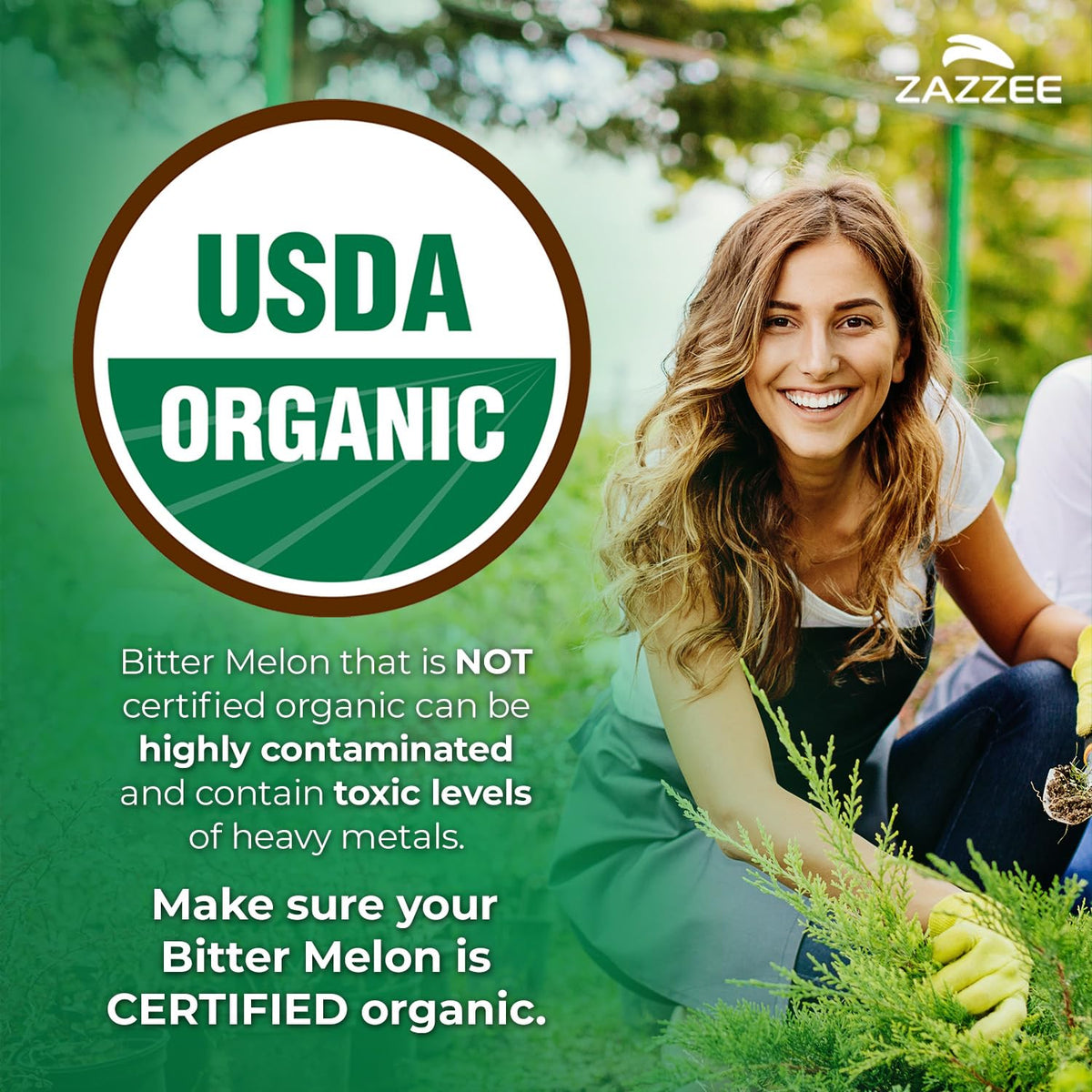Zazzee USDA Organic Bitter Melon 25:1 Extract - 150 Capsules - image 2