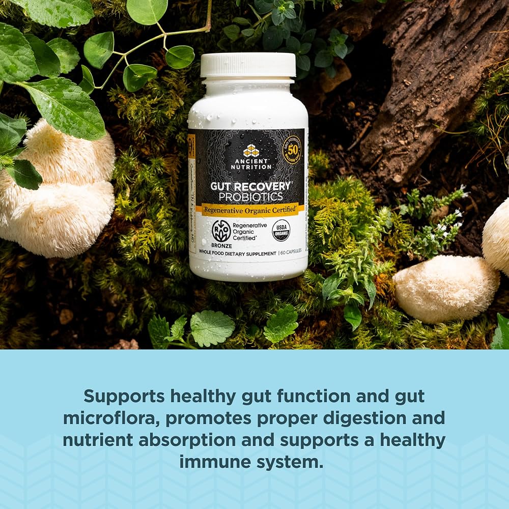 Ancient Nutrition Gut Recovery Probiotics - 60 Capsules - image 4