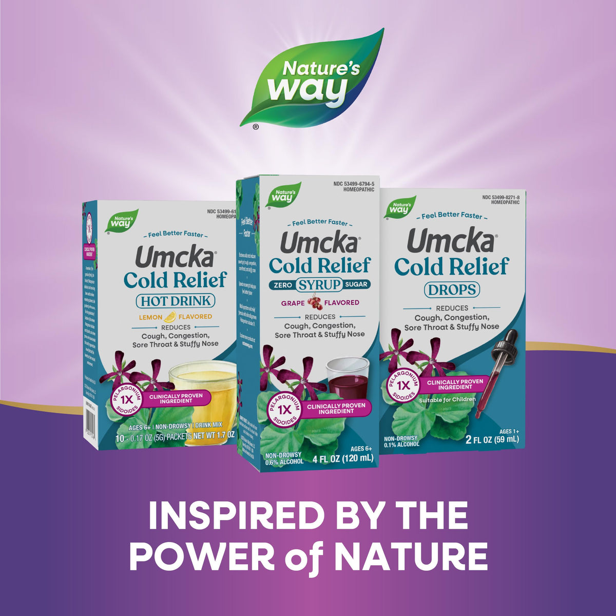 Nature's Way Umcka Cold Relief Zero Sugar Syrup - 4 Fl Oz - image 7