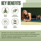 NutraBio Ashwagandha KSM-66 600 MG for Stress & Mood - 60 Capsules - image 6