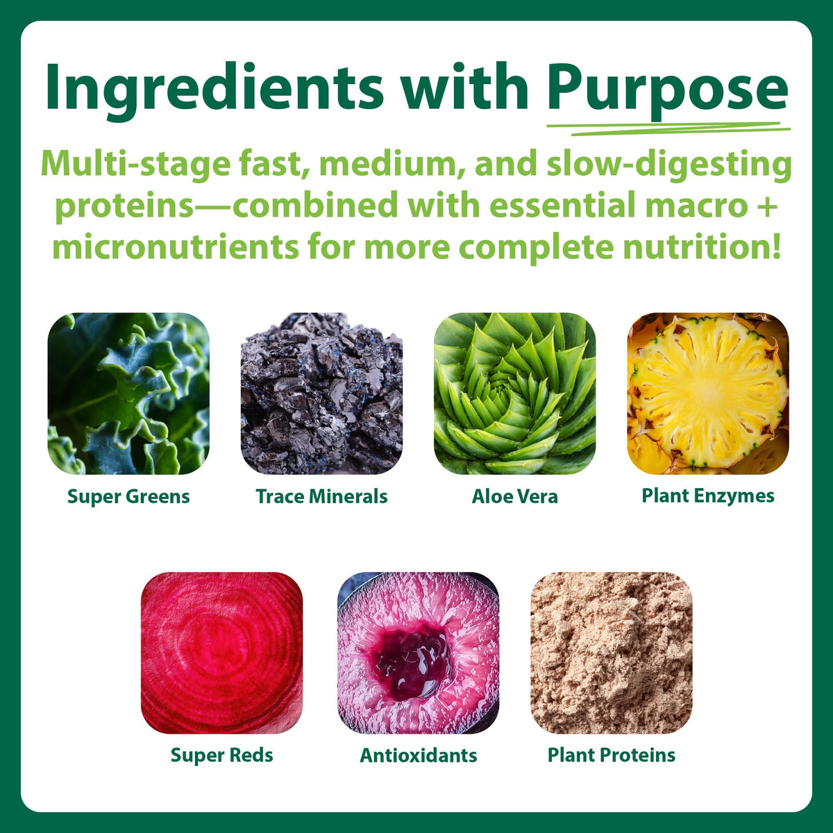 MacroLife Naturals Macromeal Protein & Greens Powder