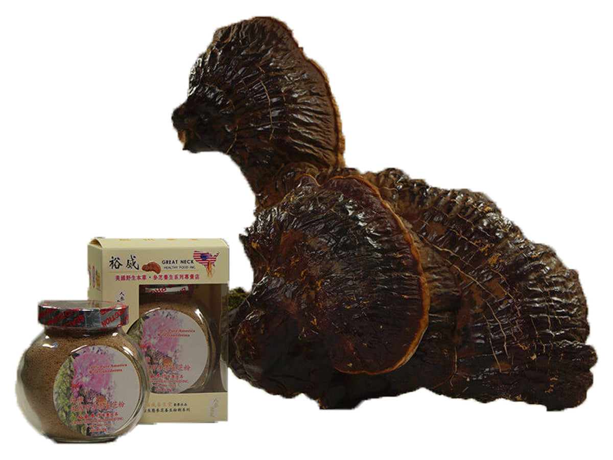 Yu Wei Ginseng Wild American Ganoderma Lucidum Powder - 30g - image 4