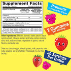 WellYeah Kids Probiotic Gummies with Prebiotic Fiber Sugar Free - image 4