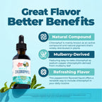MaryRuth's Chlorophyll Liquid Drops Minty Flavor - 2 Fl Oz - image 4