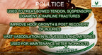 RUNNER'S RELIEF Therapeutic Poultice for Horses - 1.75 oz - image 2
