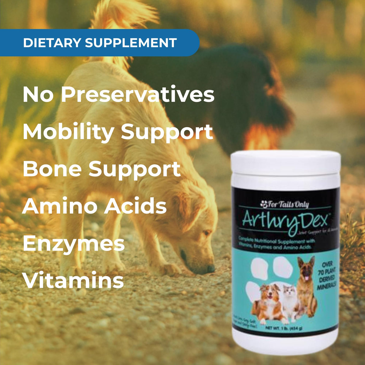 YNG ArthryDex Multivitamin Joint Support for Pets - 1 LB - image 4