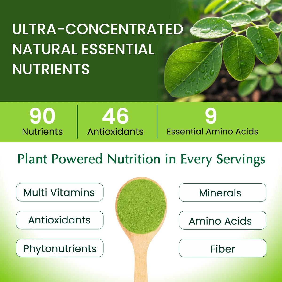 Organic Veda Moringa Powder - 16 oz - image 3