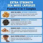 Maju Superfoods sea Moss Capsules