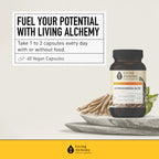 Living Alchemy Fermented Ashwagandha Capsules - 60 Count - image 7