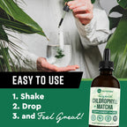 360 Nutrition Matcha Chlorophyll Liquid Drops with L-Theanine - 60 Servings - image 7