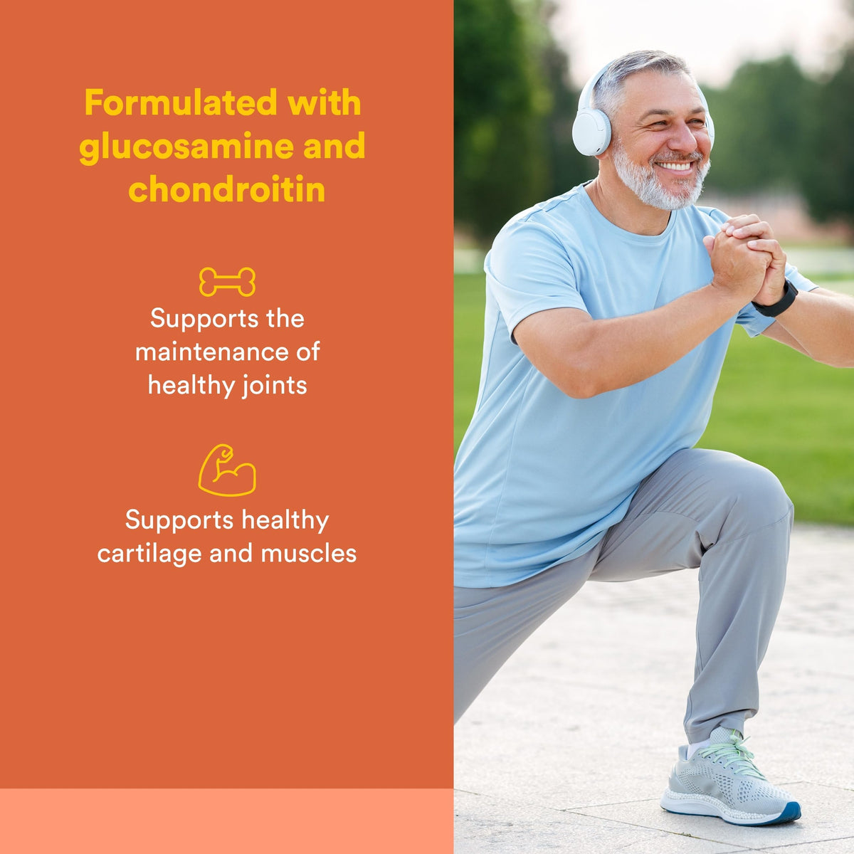 Natural Factors MSM Joint Formula Supports Mobility - 180 Capsules - image 2