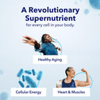 TRU NIAGEN Patented NAD+ Supplement