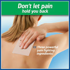 Salonpas Large Pain Relief Patches - 6 Patches - image 2