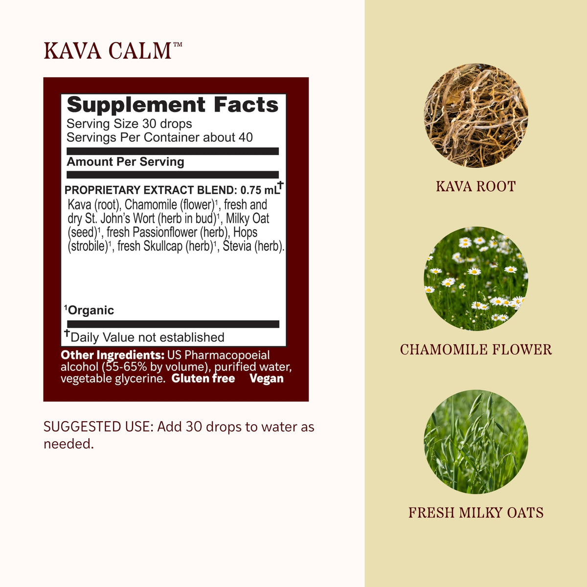 Herbs Etc. Kava Calm Classic Liquid Extract - 1 fl oz - image 4