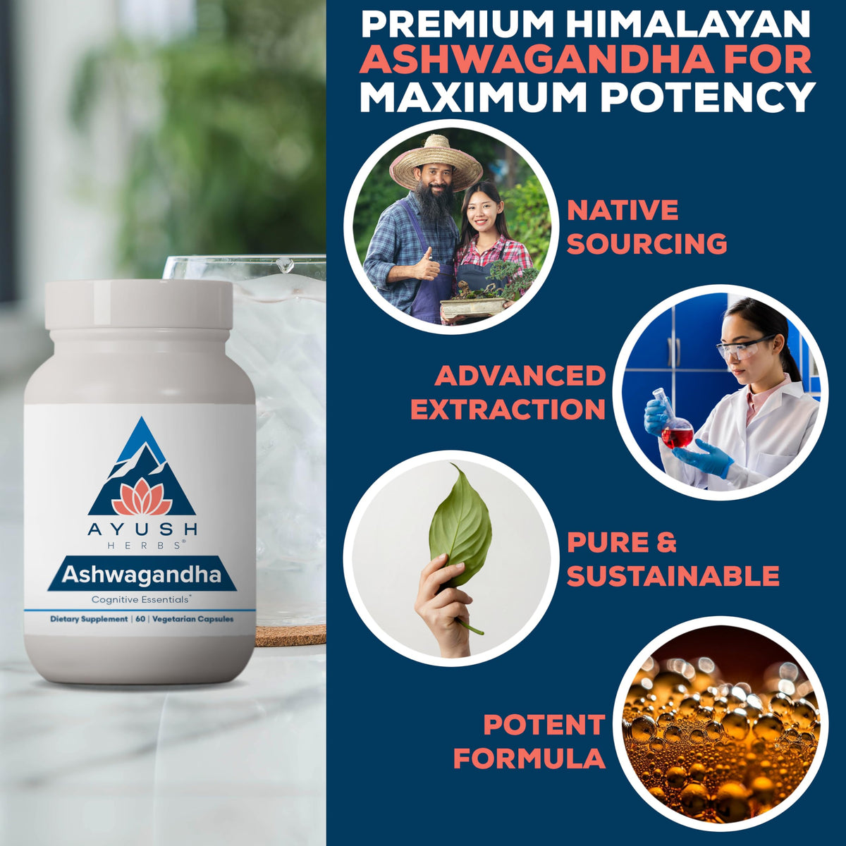 Ayush Herbs Ashwagandha Capsules 500mg for Stress - 60 Capsules - image 4