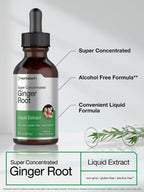 Horbäach Ginger Root Extract Liquid Alcohol Free - 2 Fl Oz - image 3