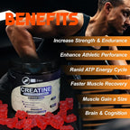 S.G Creatine Monohydrate Gummies for Muscle Support - 120 Gummies - image 4
