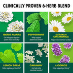 Iberogast Liquid Drops Herbal Digestive Relief - 50mL - image 4
