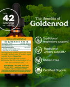 Herb Pharm Goldenrod Liquid Extract for Urinary System Support - 1 Fl Oz - image 2