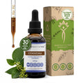 Secrets of the Tribe Gymnema Tincture Alcohol-Free Liquid Extract