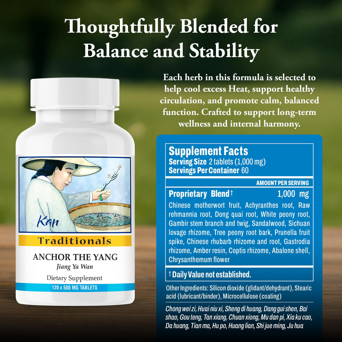 Kan Herb Company Anchor the Yang - 120 Tablets - image 3