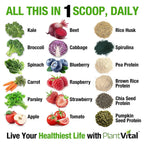 Plantvital Unflavored Organic Vegan Protein Powder - 18 Superfoods