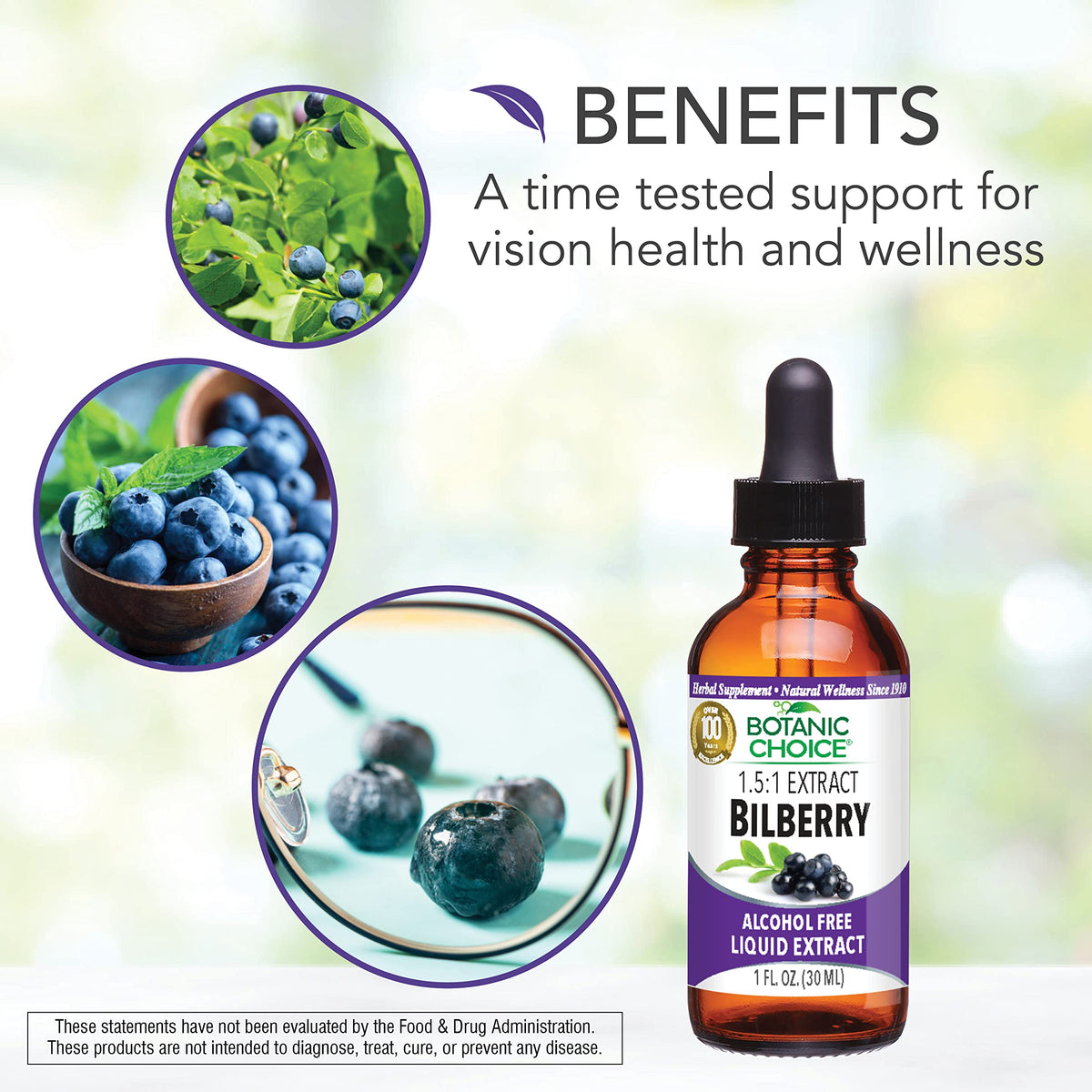 Botanic Choice Bilberry Alcohol Free Liquid Extract - 1 Fl Oz - image 5