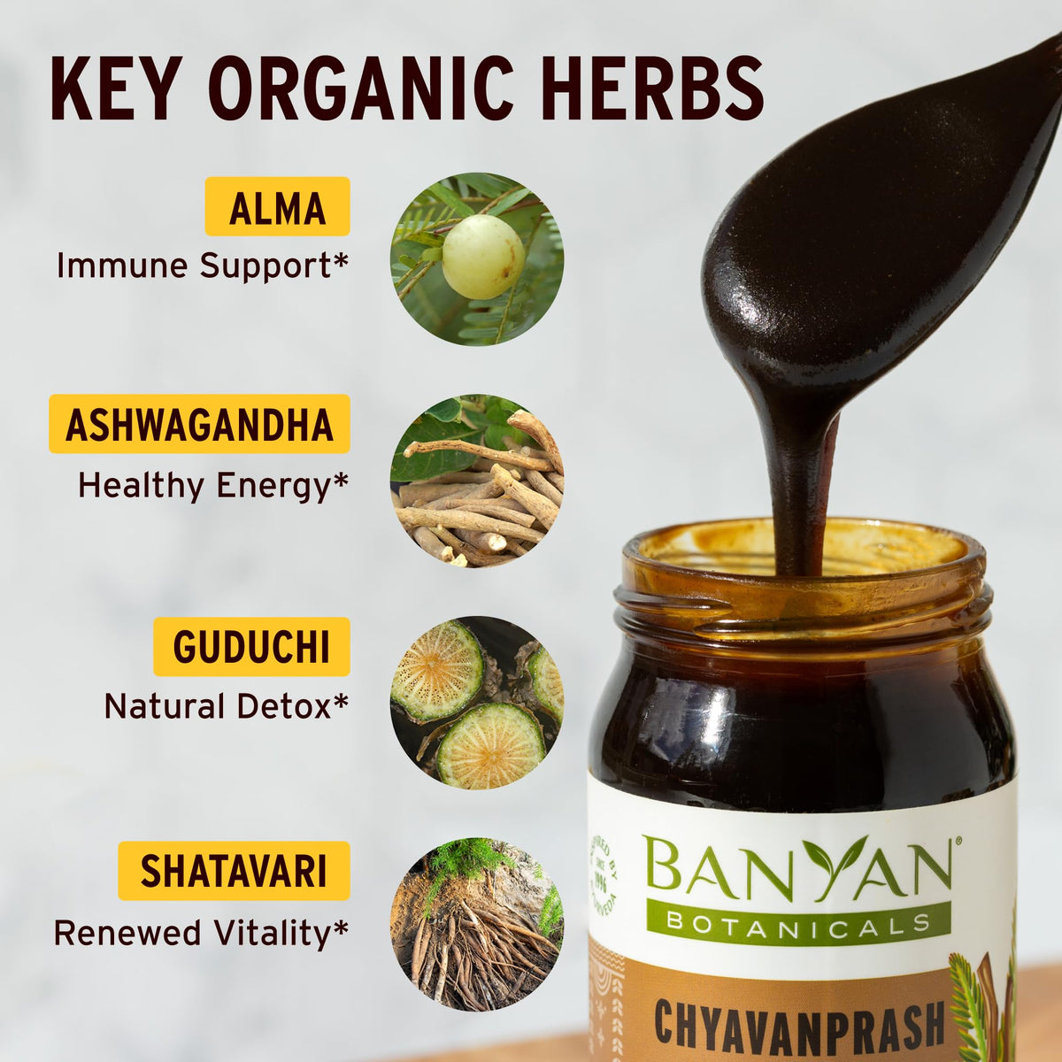 Banyan Botanicals Organic Chyawanprash Immune Support - 16.9 oz - image 2