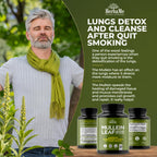 HerbaMe Mullein Leaf 1000mg Lung Support - 120 Capsules - image 8
