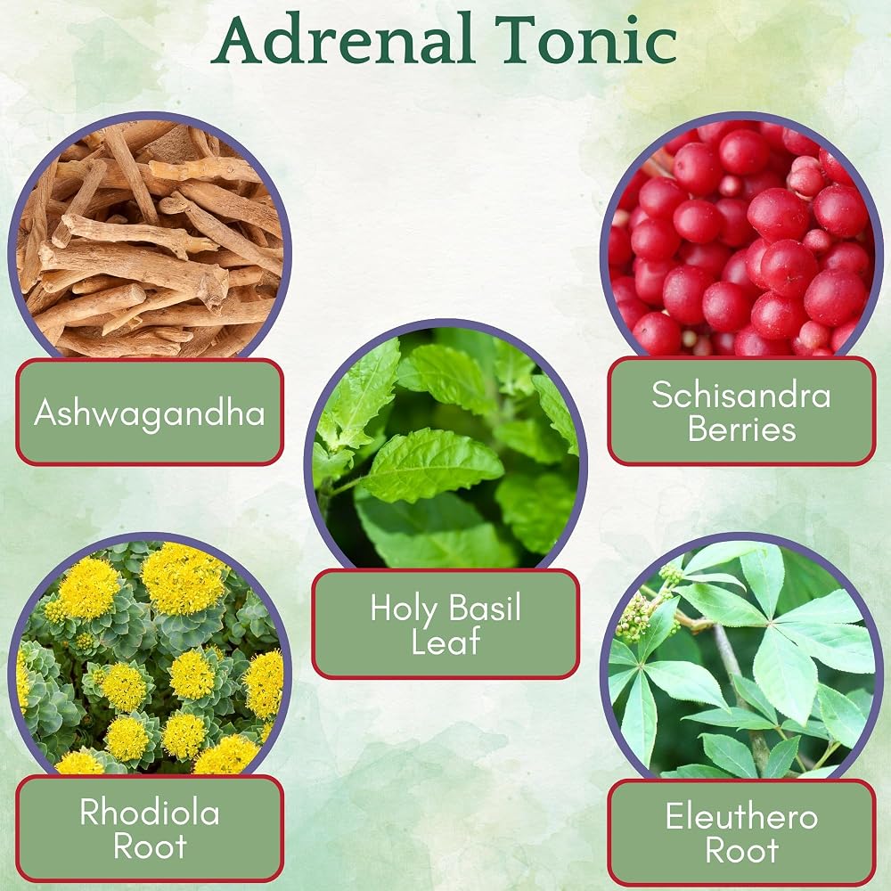Herb Lore Adrenal Tonic Tincture - USDA Organic Liquid Herbal Adrenal