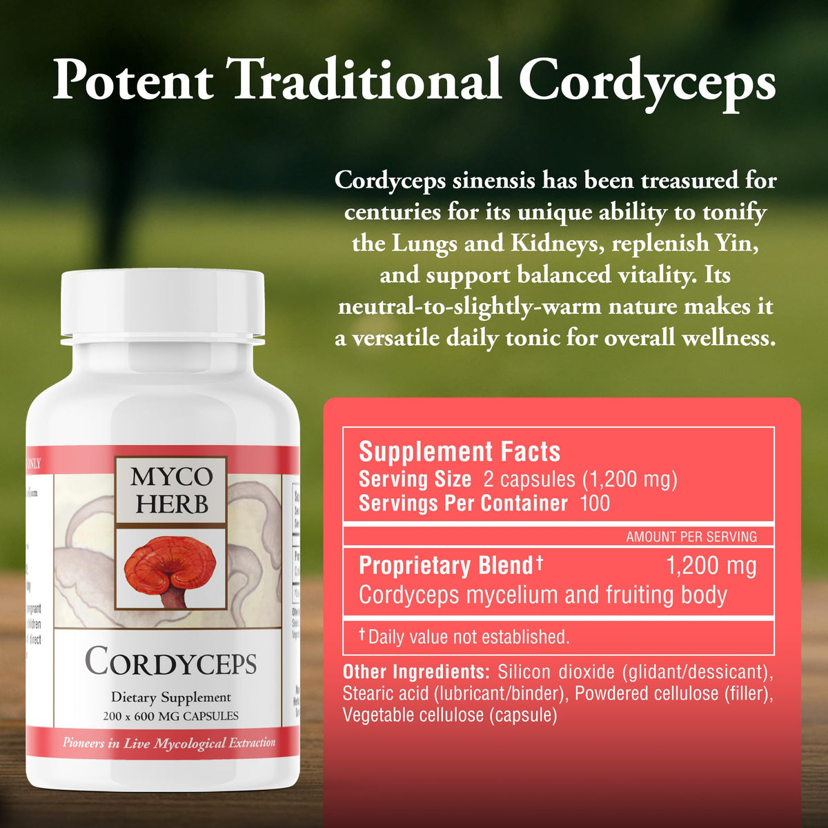 Kan Herbs Cordyceps Full-Spectrum Extract for Energy - 120 Tablets - image 3