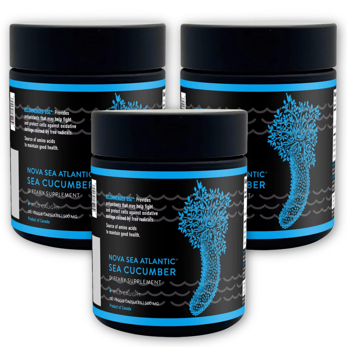 Nova Sea Atlantic Sea Cucumber + Blueberry Optimizer 120 Capsules