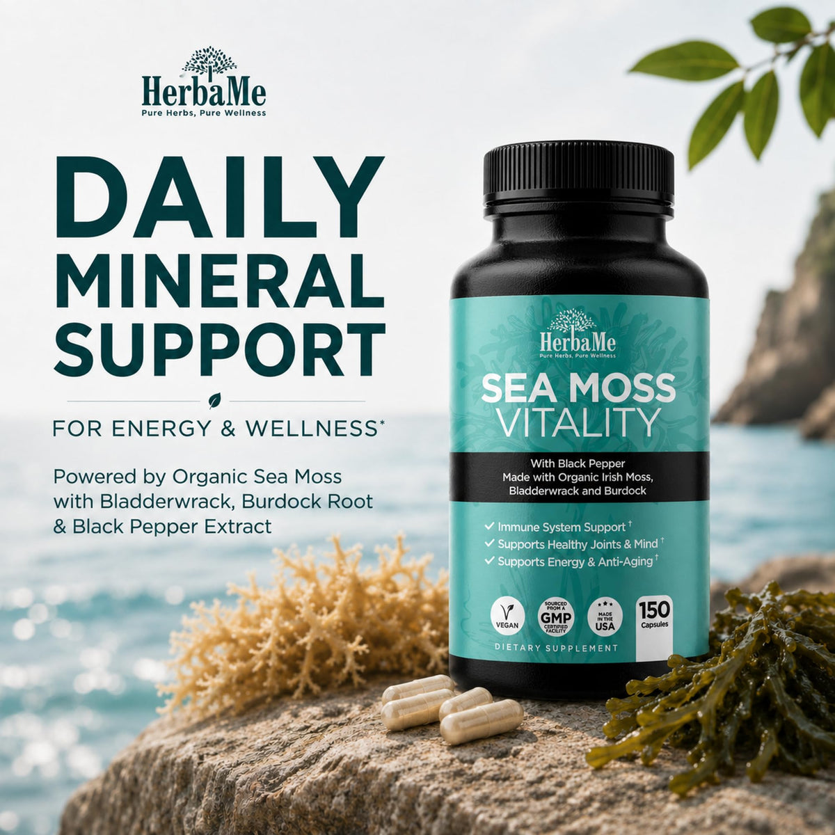 HerbaMe Organic Irish Sea Moss with Bladderwrack & Burdock - 150 Capsules - image 2