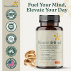nootrimind Lions Mane Mushroom Supplement Capsules - 60 Count - image 7