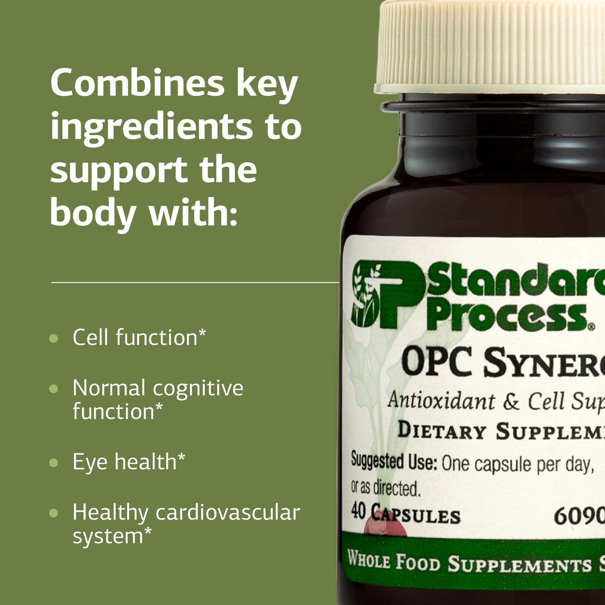 Standard Process OPC Synergy Brain & Eye Health Support - 150 Tablets - image 4