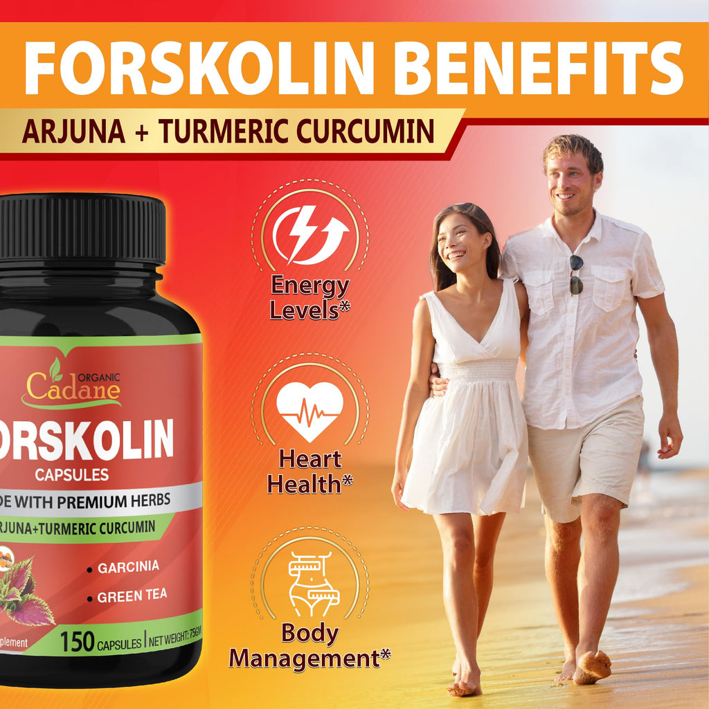Organic Cadane Forskolin Supplement with Turmeric & Green Tea - 150 Capsules - image 4