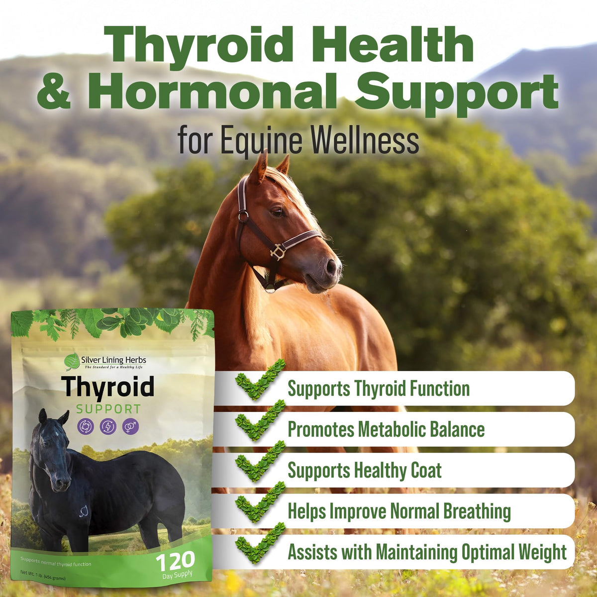 Silver Lining Herbs Thyroid Support for Horses - 1 Pound - image 2