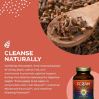 HEALTHFORCE SUPERFOODS Scram Herbal Supplement - 150 Vegan Capsules - image 4