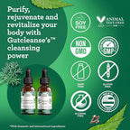 GuruNanda Gutcleanse 2-Step Kit Digestive Supplement - 2 Fl Oz - image 9
