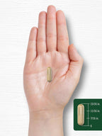 Carlyle Echinacea Goldenseal Capsules - 110 Vegetarian Capsules - image 8