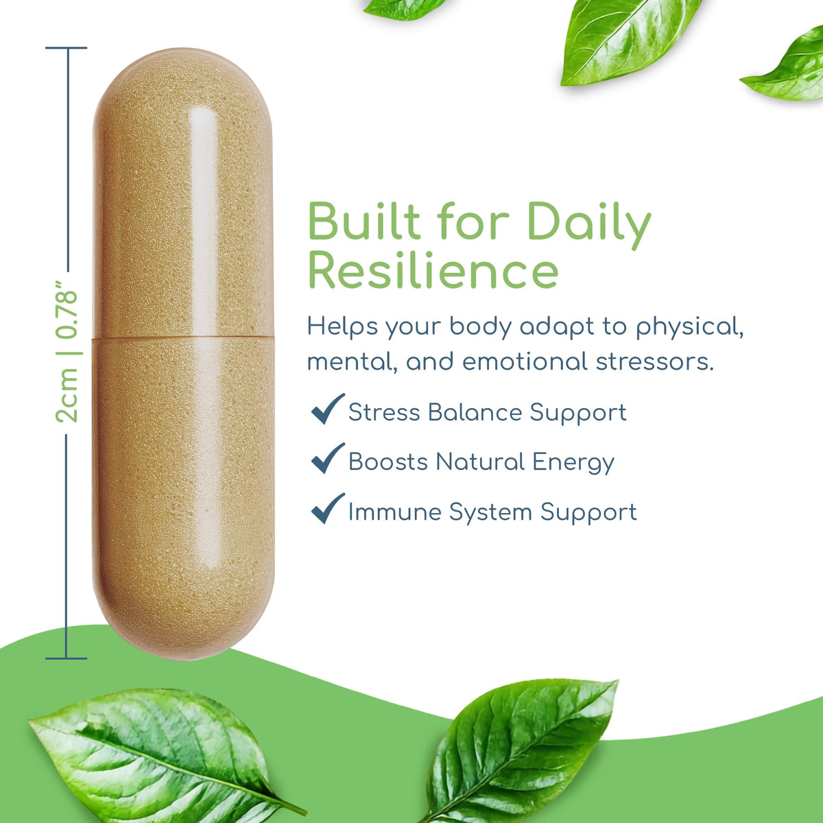 Return Healthy Adaptogen Immune Ashwagandha Supplement - 120 Capsules - image 4