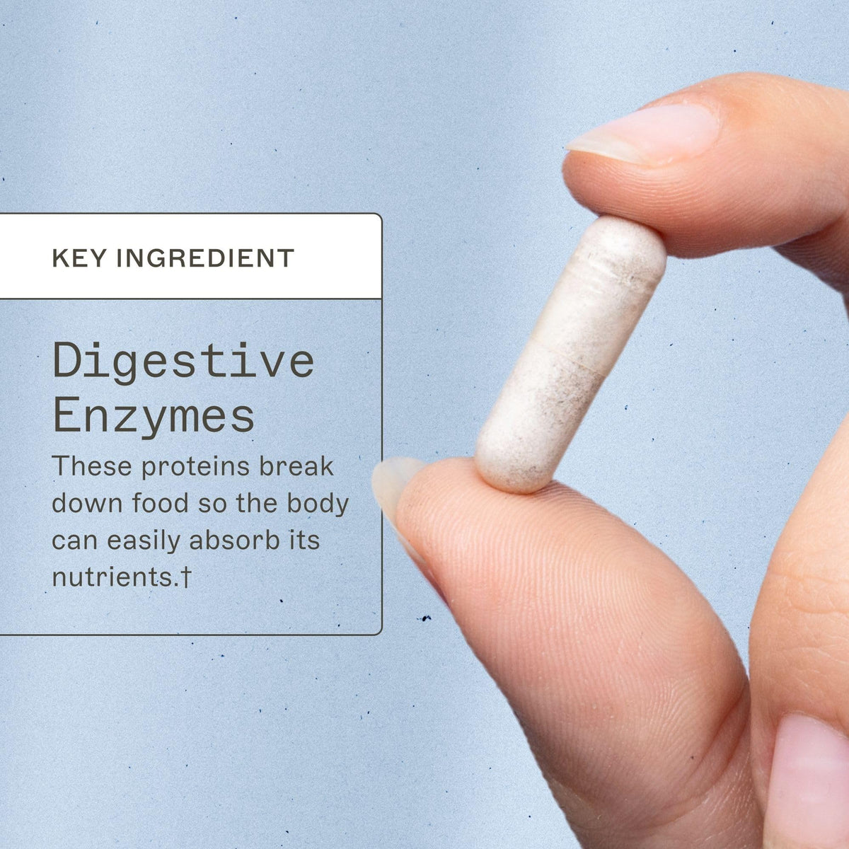 Amy Myers MD Digestive Enzymes - 120 Capsules - image 3
